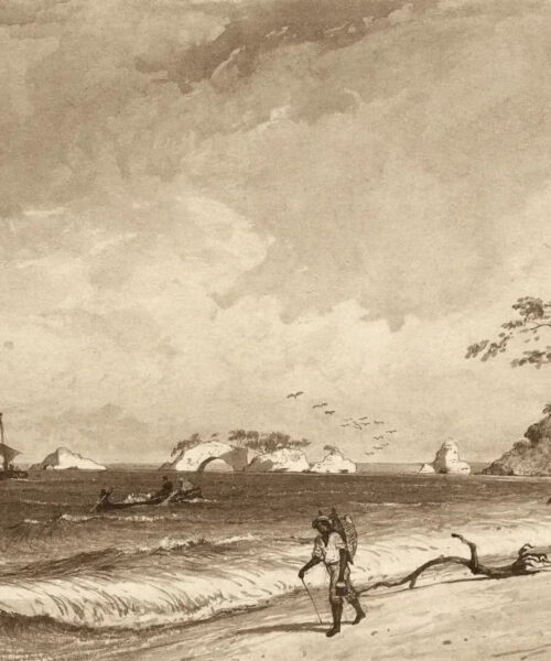 Los Gallos, Icacos Bay by Michel Jean Cazabon