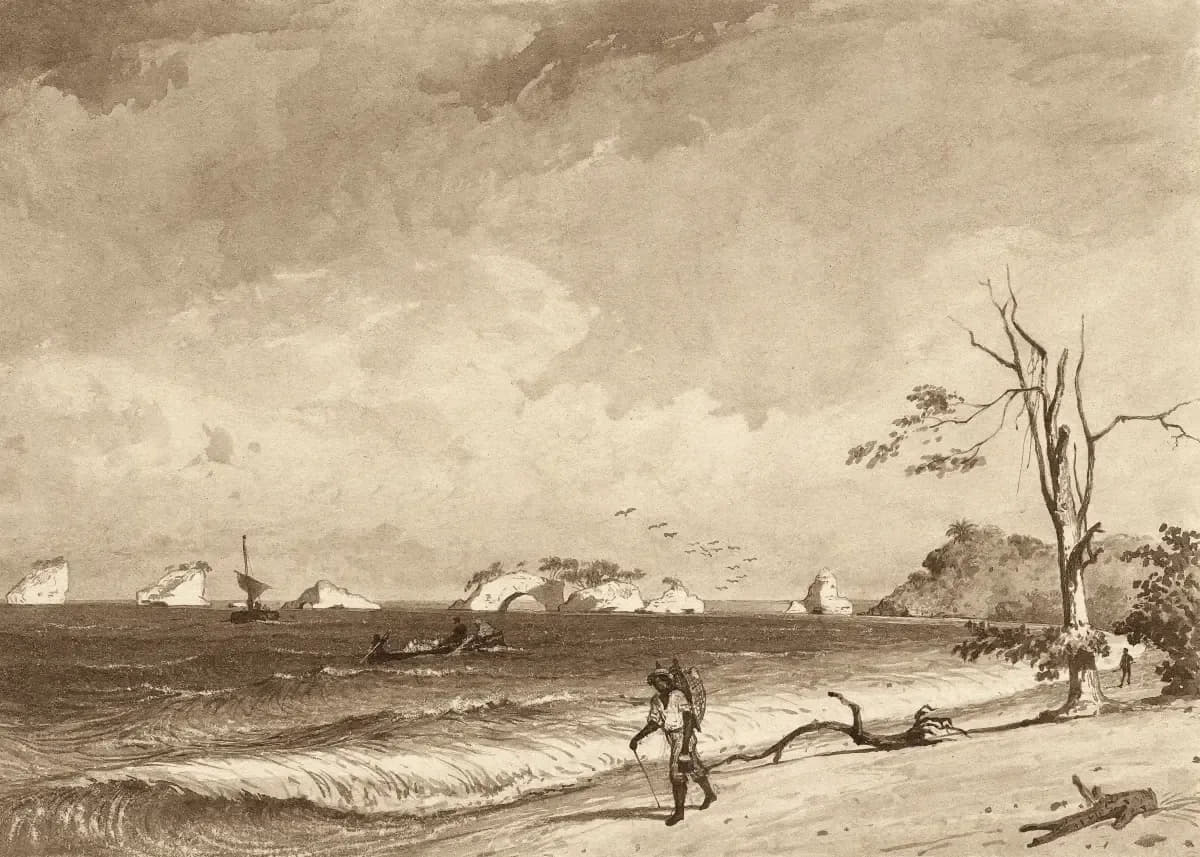 Los Gallos, Icacos Bay by Michel Jean Cazabon
