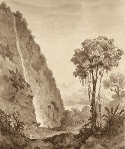 Maracas Waterfall by Michel Jean Cazabon