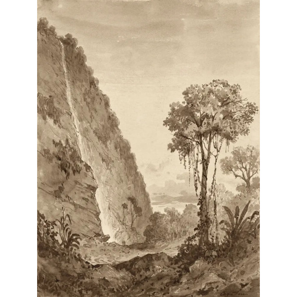 Maracas Waterfall by Michel Jean Cazabon