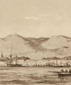 Port of Spain from the Sea (1851) by Michel Jean Cazabon