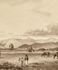 Queen’s Park and Mountains by Michel Jean Cazabon