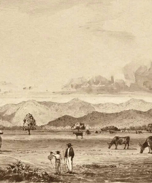 Queen’s Park and Mountains by Michel Jean Cazabon