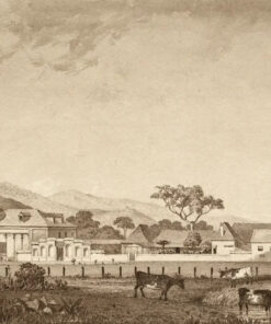 Residence at Orange Grove Estate, Tacarigua by Michel Jean Cazabon