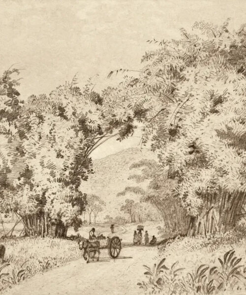 Road to St. Ann’s by Michel Jean Cazabon