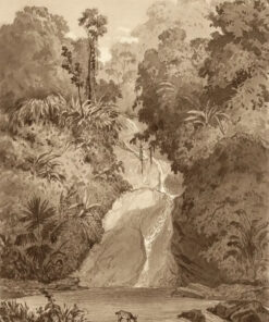 St. Ann’s Waterfall by Michel Jean Cazabon