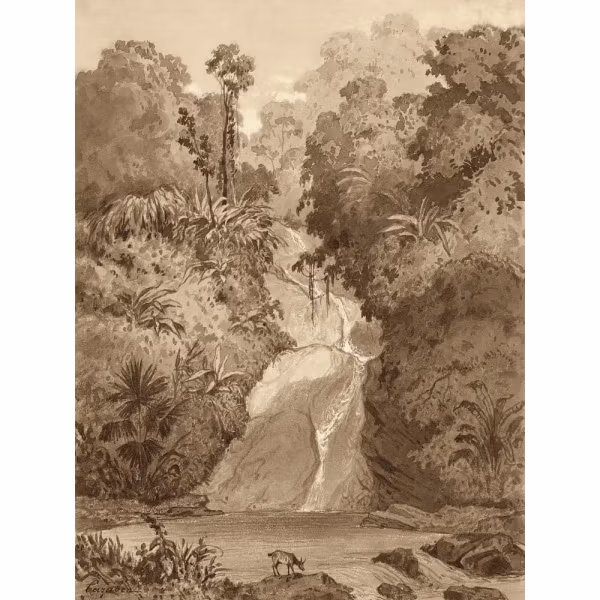 St. Ann’s Waterfall by Michel Jean Cazabon