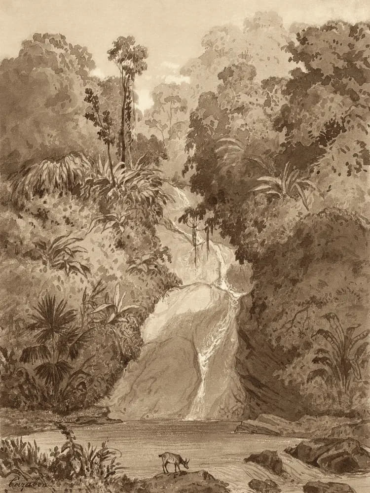 St. Ann’s Waterfall by Michel Jean Cazabon