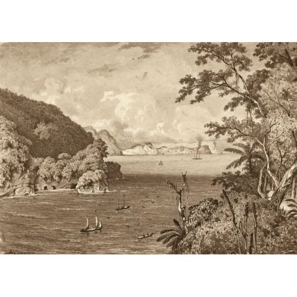 The Bocas from the Old Fort, Maquerite by Michel Jean Cazabon
