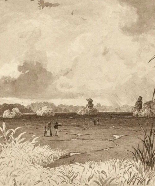 The Pitch Lake by Michel Jean Cazabon