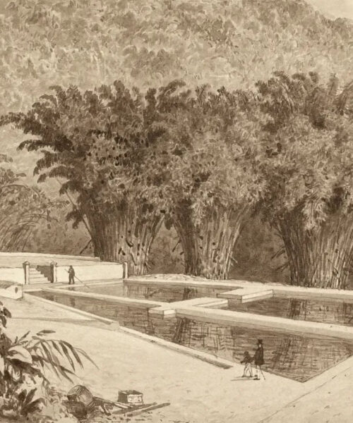 The Reservoir at Maraval by Michel Jean Cazabon