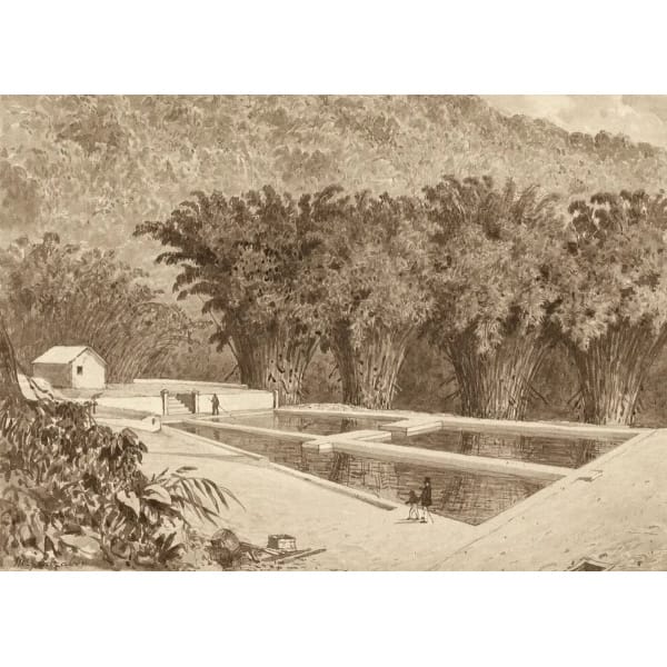 The Reservoir at Maraval by Michel Jean Cazabon