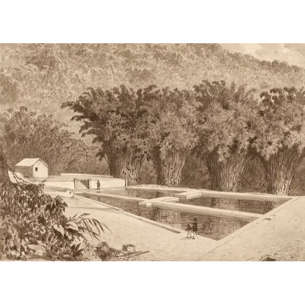 The Reservoir at Maraval by Michel Jean Cazabon