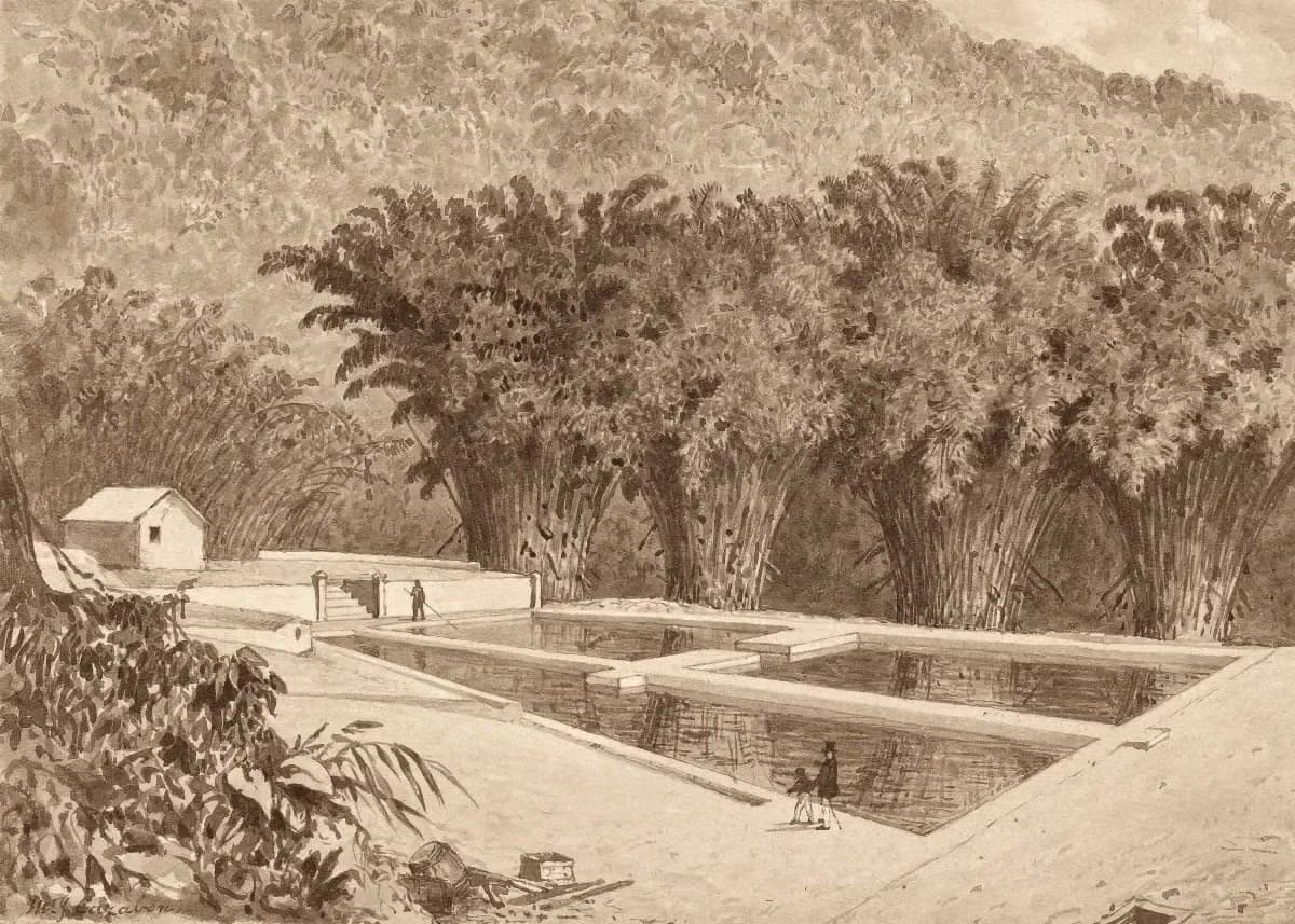 The Reservoir at Maraval by Michel Jean Cazabon