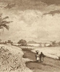 The Road to Pitch Lake by Michel Jean Cazabon