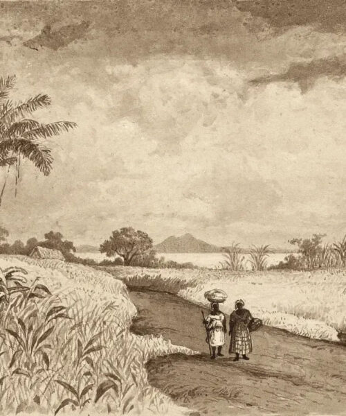 The Road to Pitch Lake by Michel Jean Cazabon