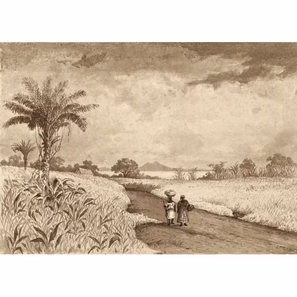 The Road to Pitch Lake by Michel Jean Cazabon