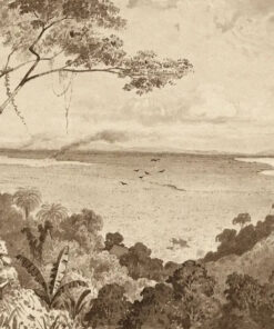 View from Laventille Hill by Michel Jean Cazabon