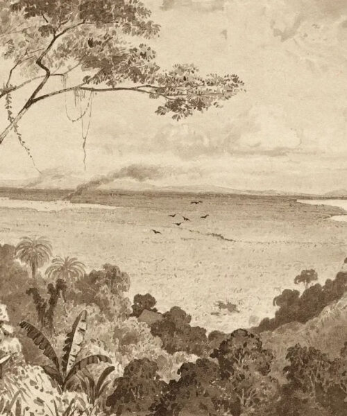 View from Laventille Hill by Michel Jean Cazabon