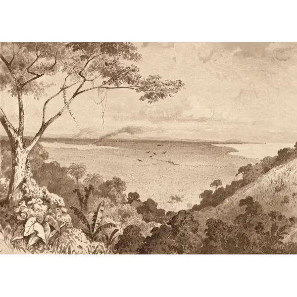 View from Laventille Hill by Michel Jean Cazabon